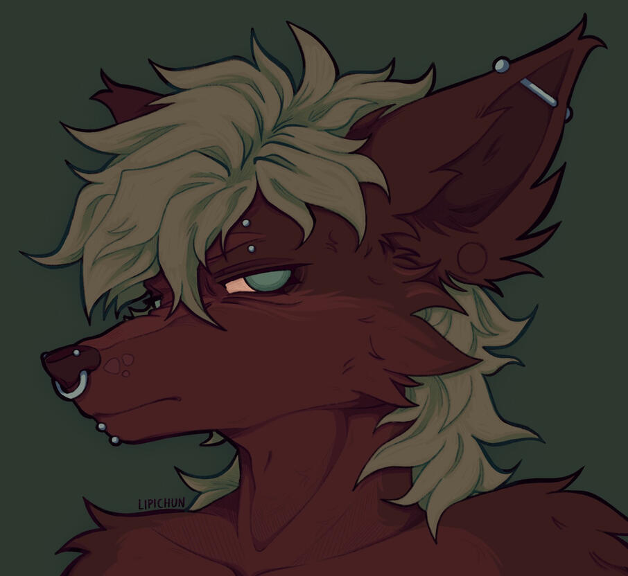 twls on discord (lipichun)